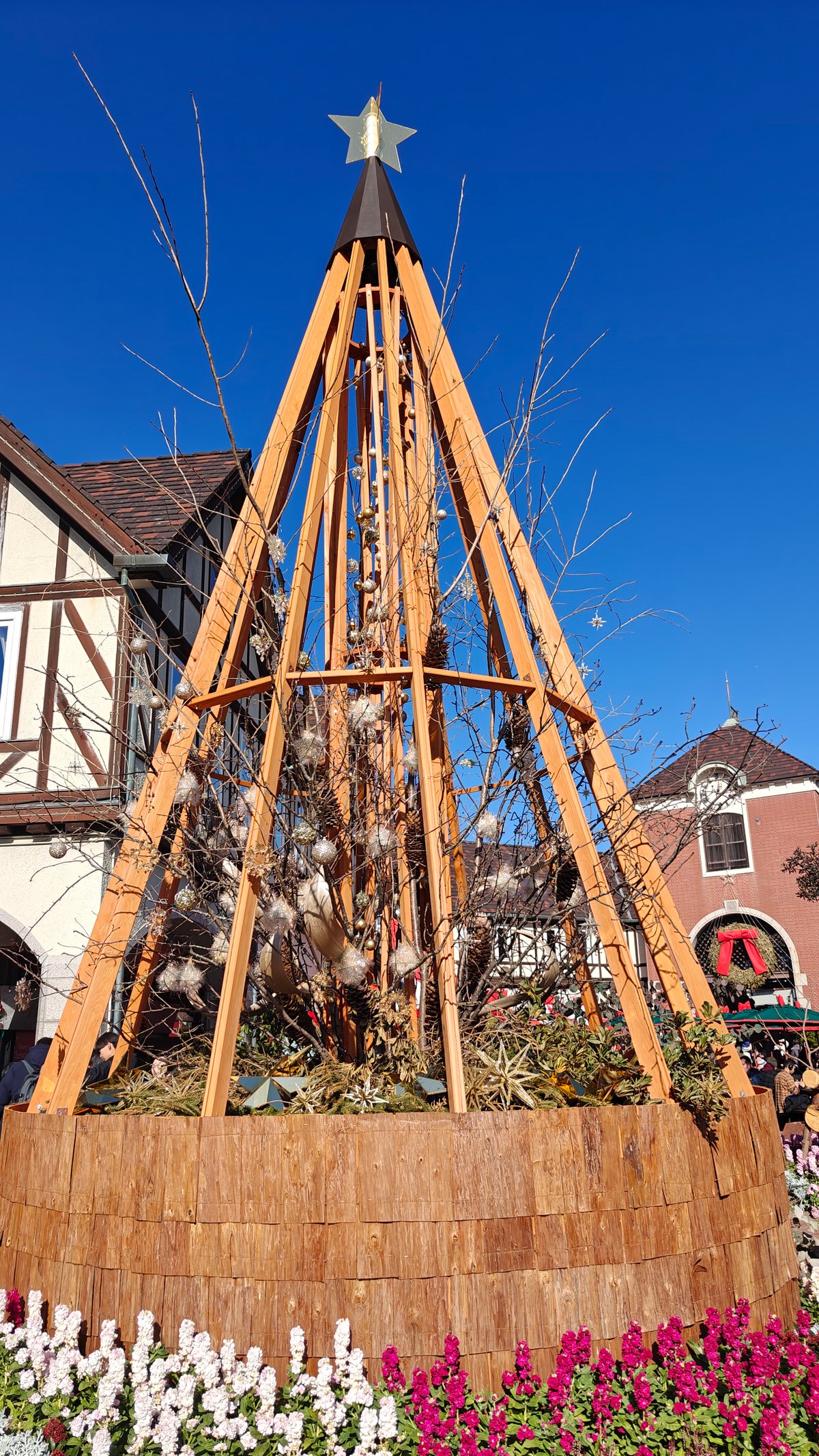 Bamboo-frame Christmas tree cone