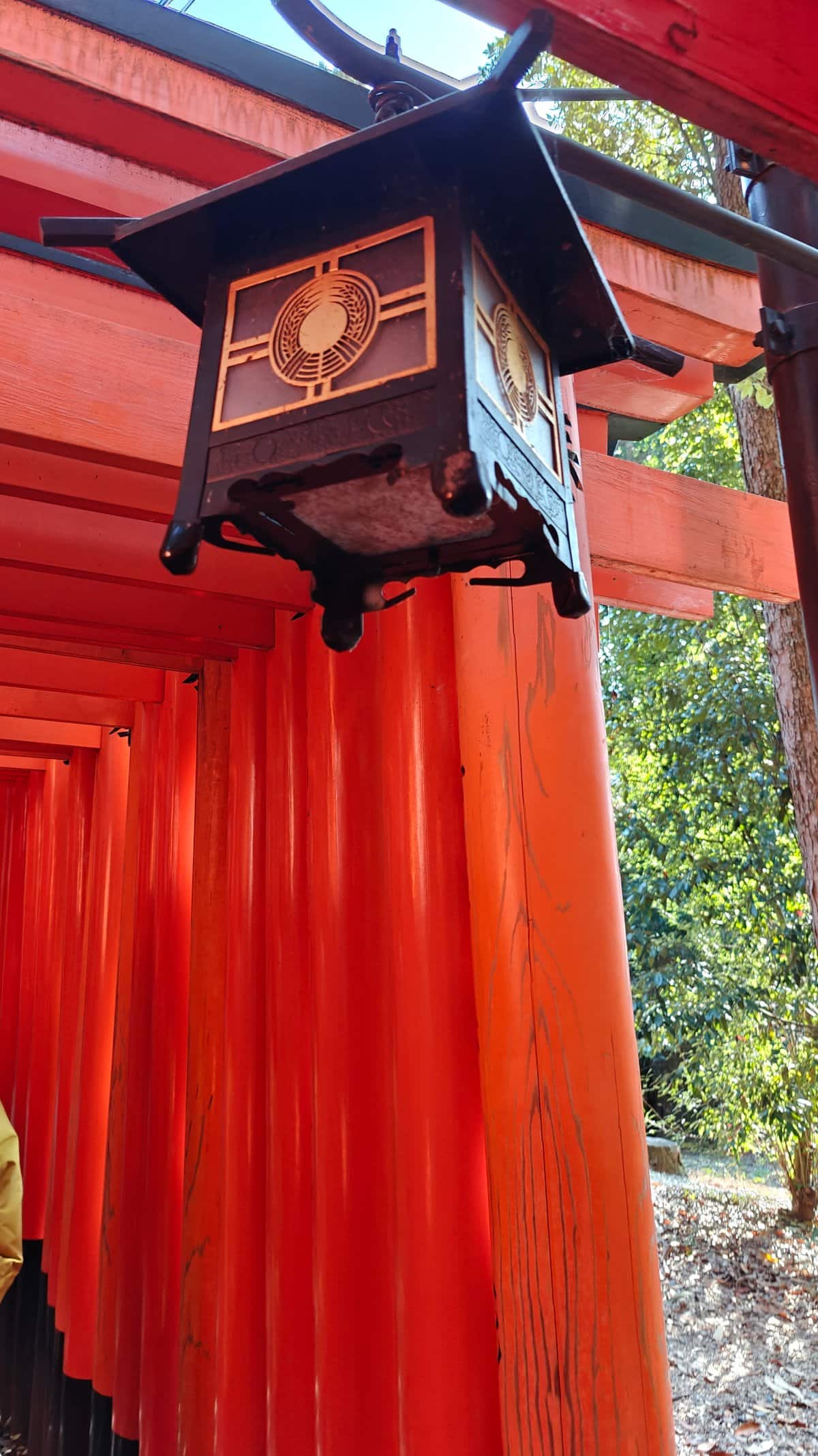 Black metal lantern hanging beneath a torii