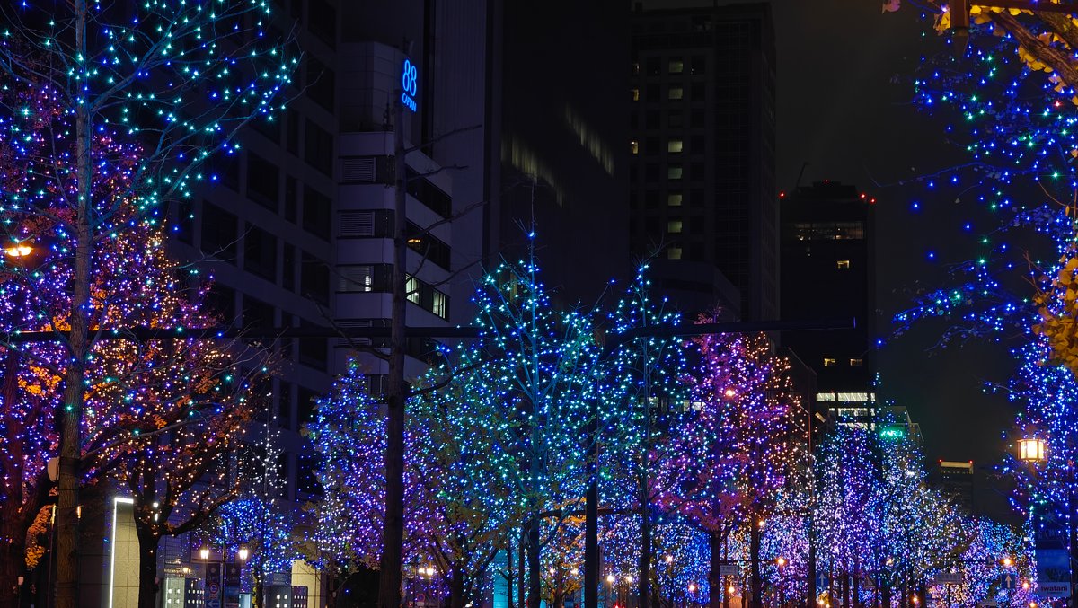 Blue Christmas lights boulevard