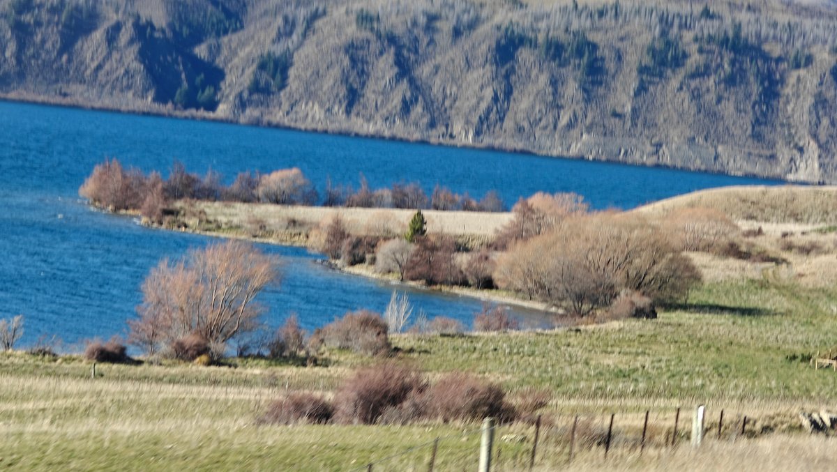 Blue lake edged with bare willows and reeds