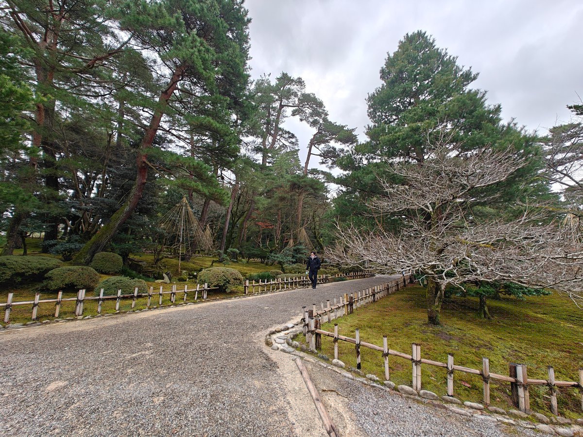 Broad gravel path curving past a wooden fence,
