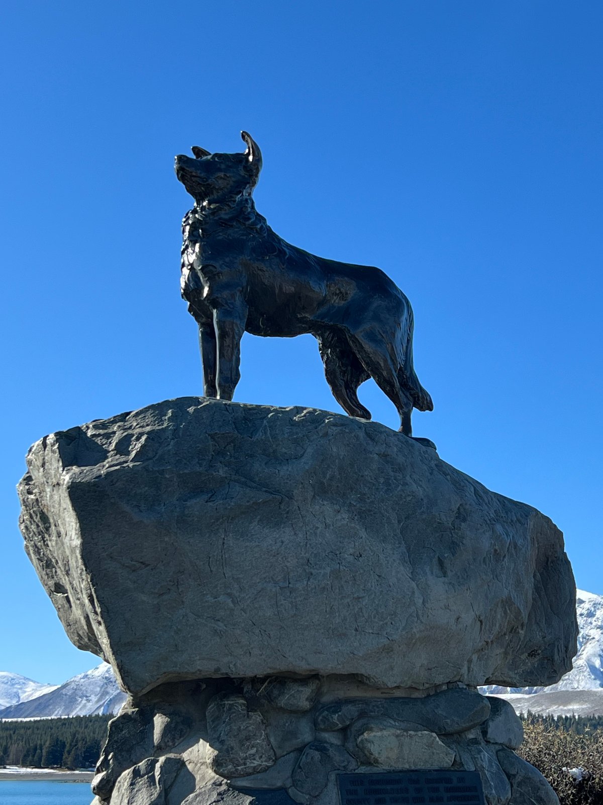 Bronze collie silhouette against blue sky