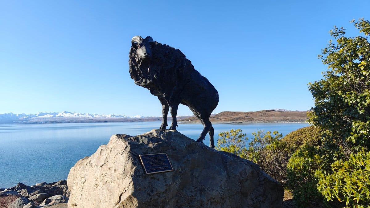 Bronze tahr statue above Lake Pukaki