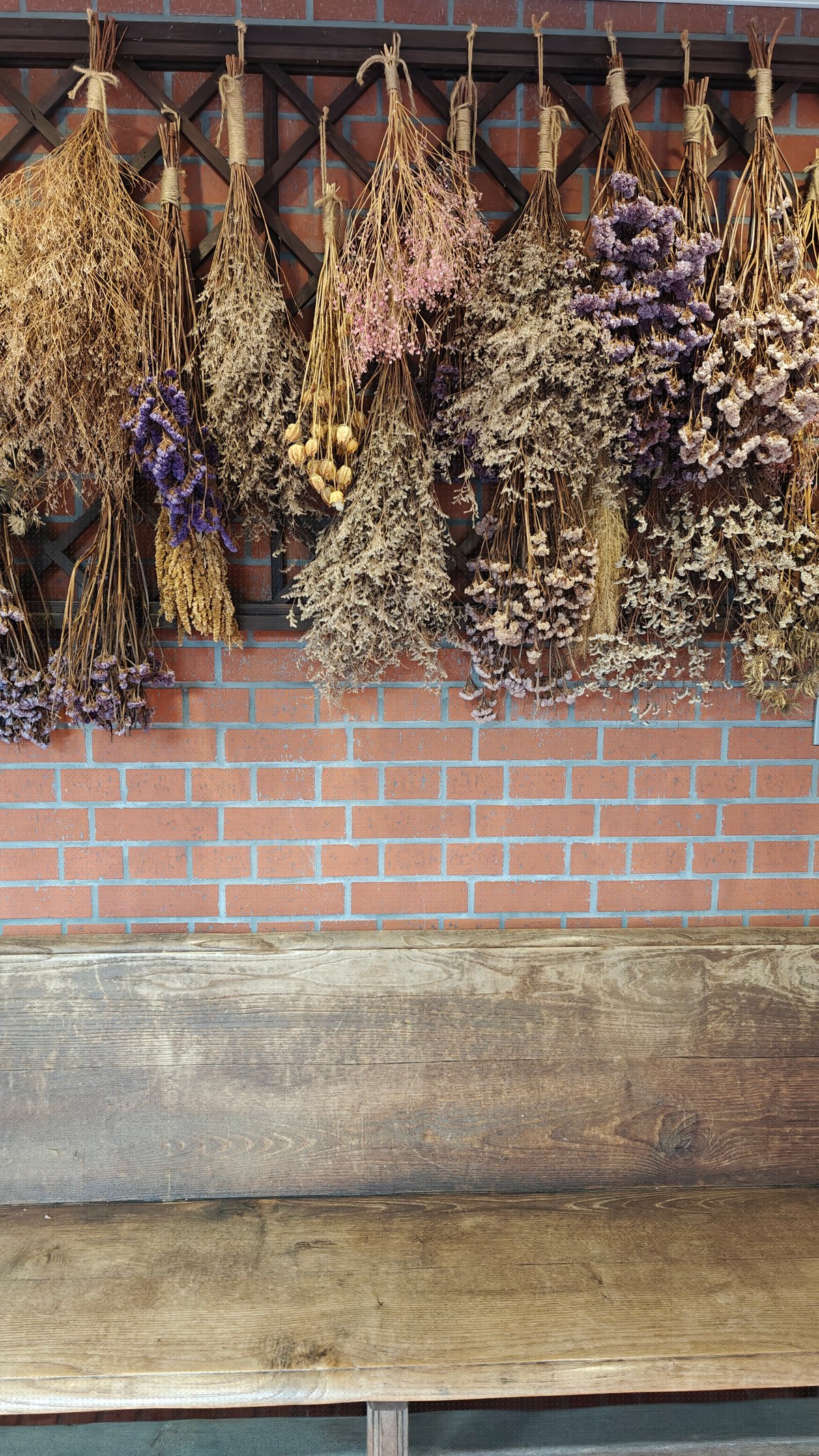 Bundles of dried herbs and flowers hung along