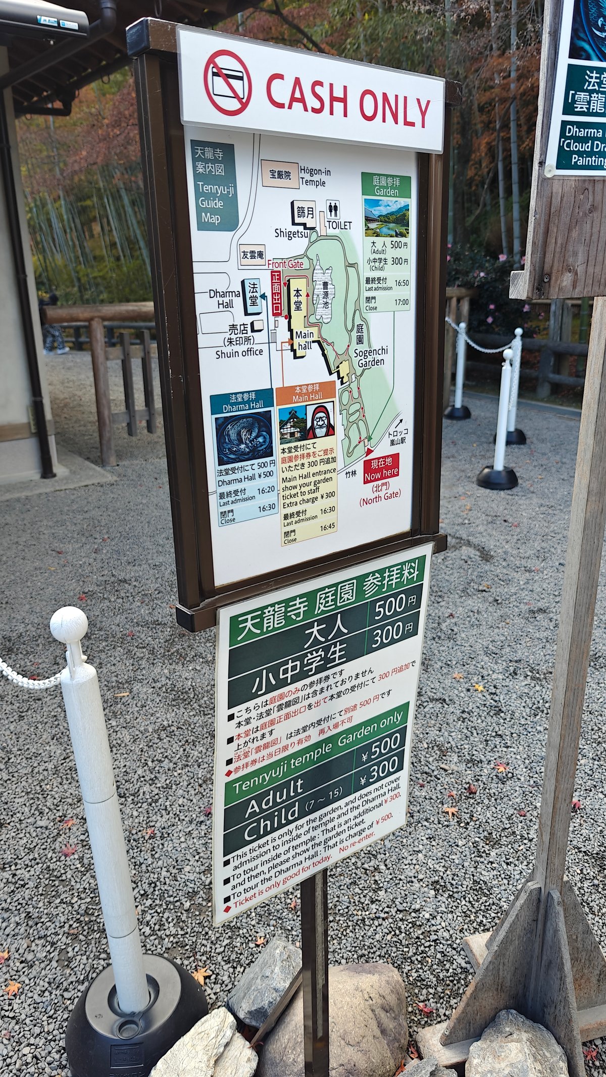 'CASH ONLY' notice board with the garden area
