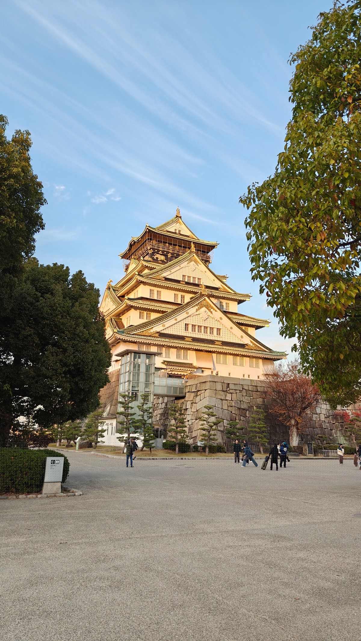 Castle framed by plaza trees
