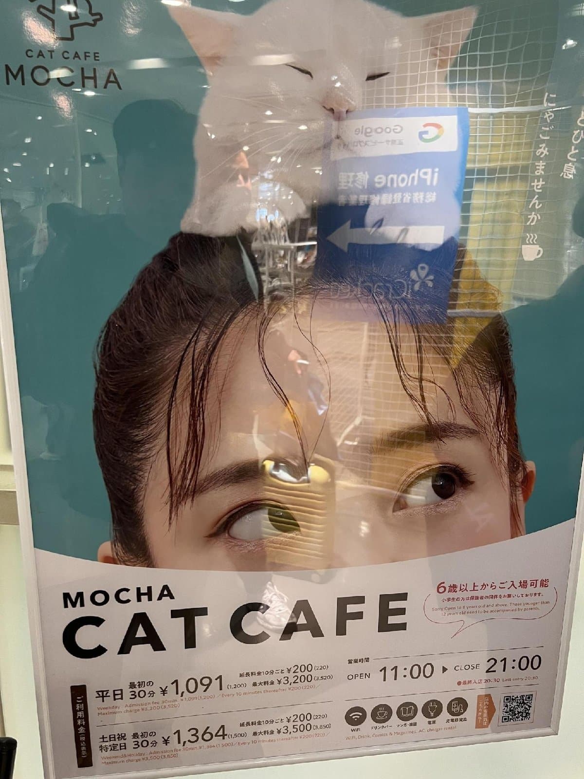 Cat cafe poster with reflections