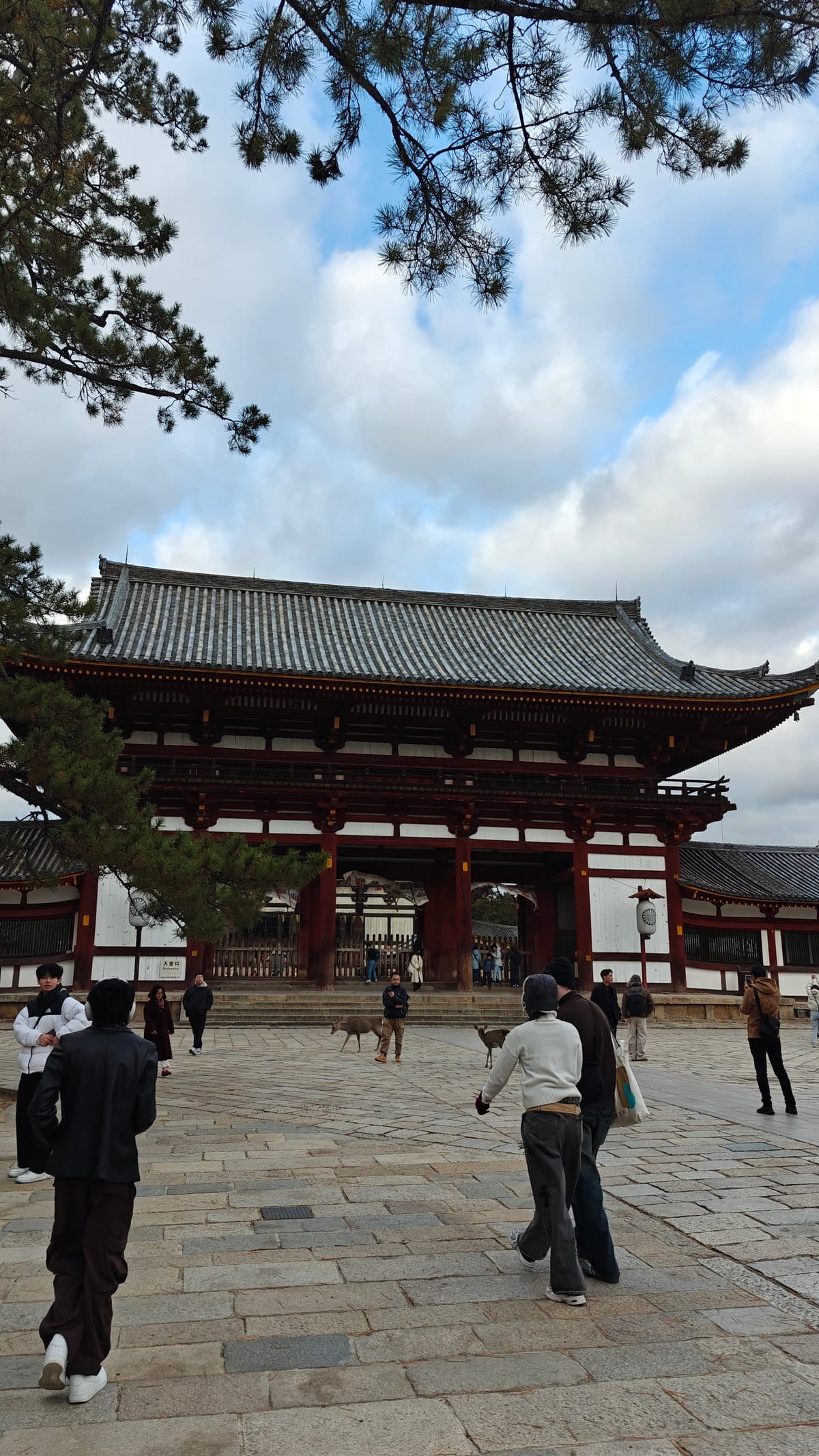Chumon gate with free deer
