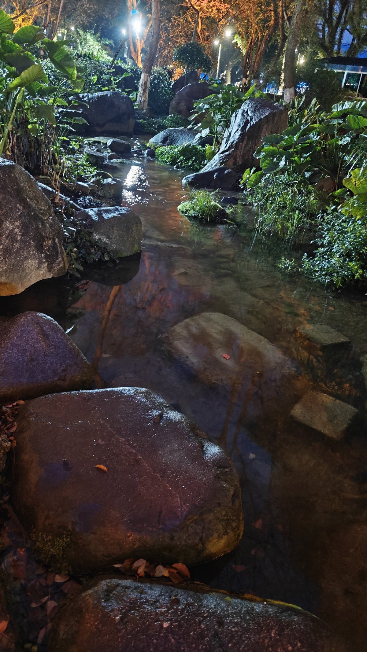 Clear stream with boulders and lights