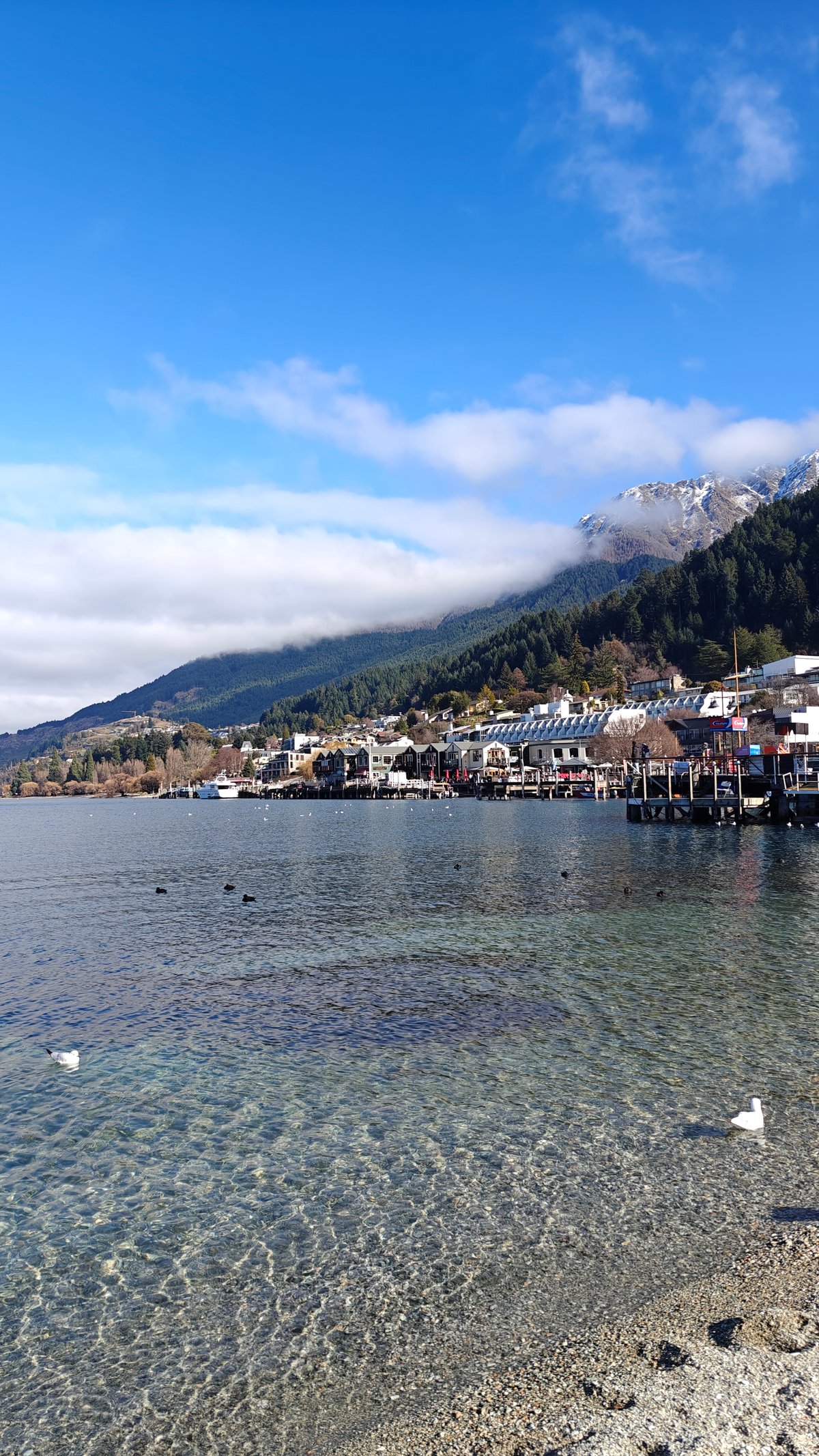 Clear turquoise shallows of Lake Wakatipu with a