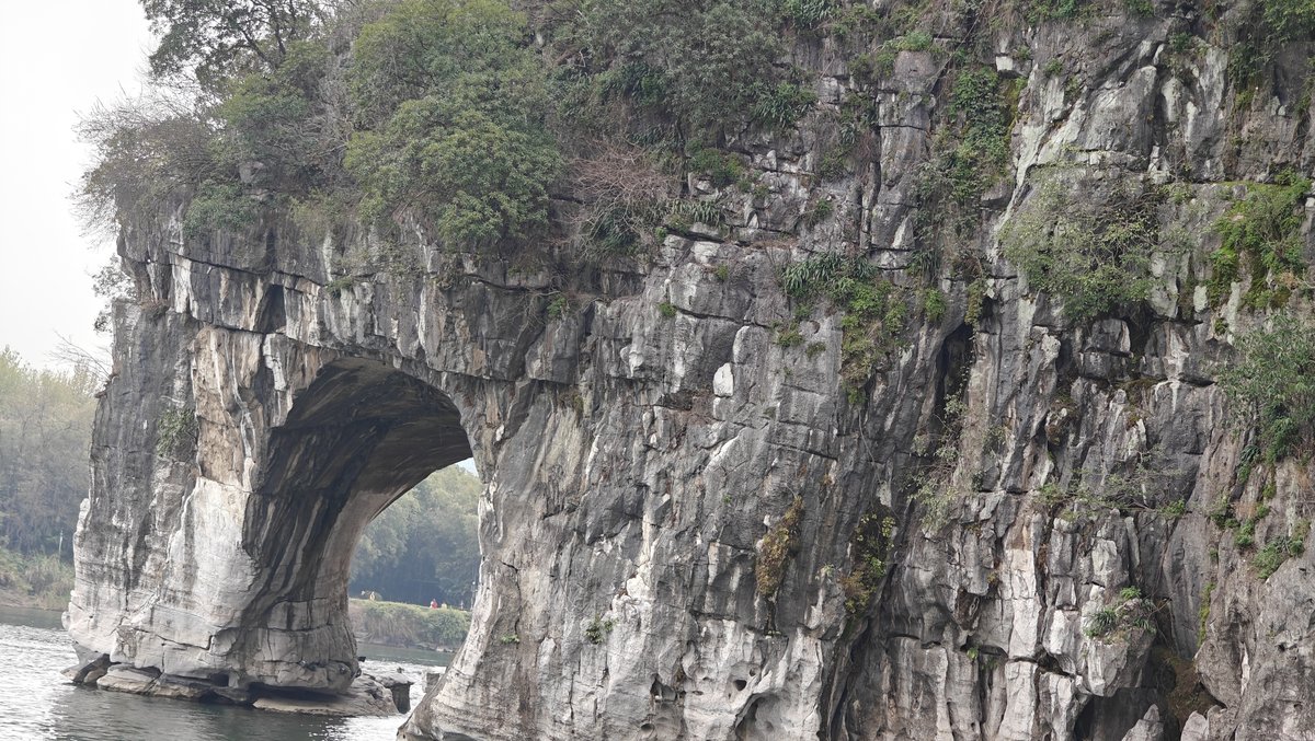 Close-up of the elephant trunk arch from the