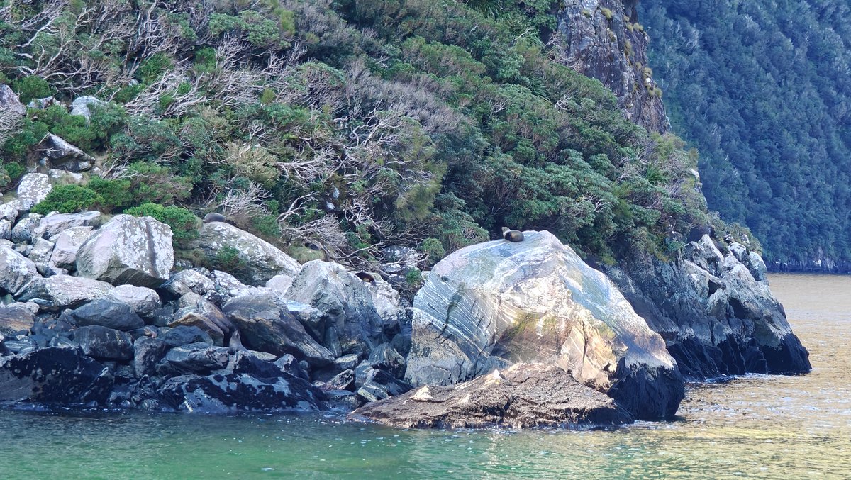 Closer seals at rocky point