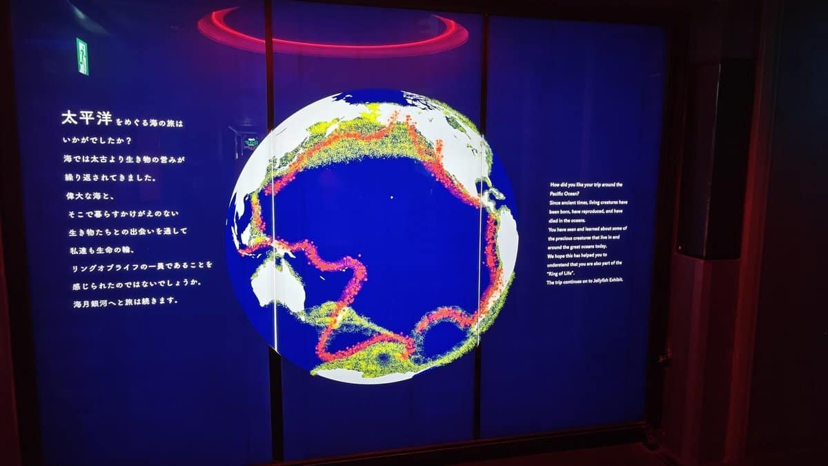 Colorful earth map exhibit display