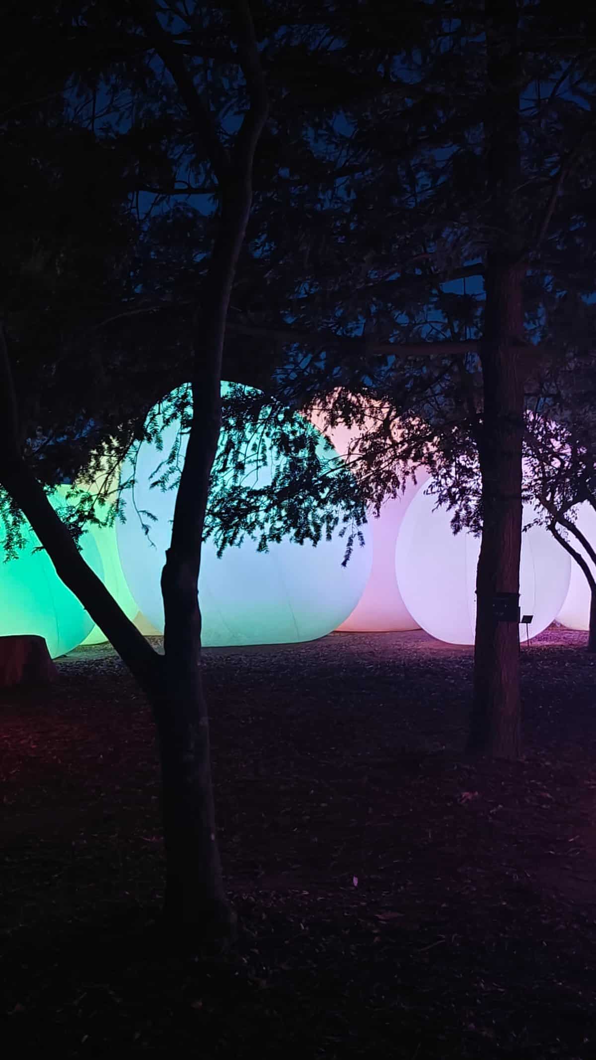 Colorful lake light reflections