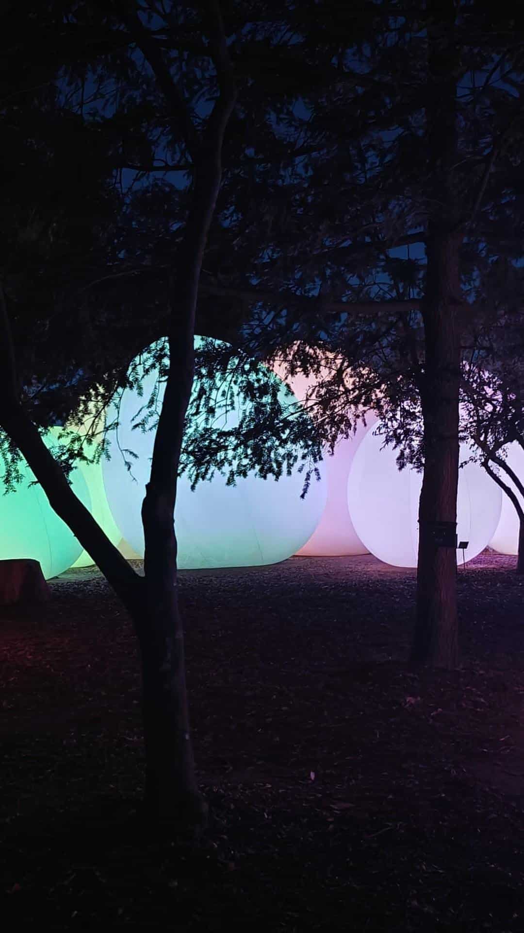 Colorful lanterns among dark trees