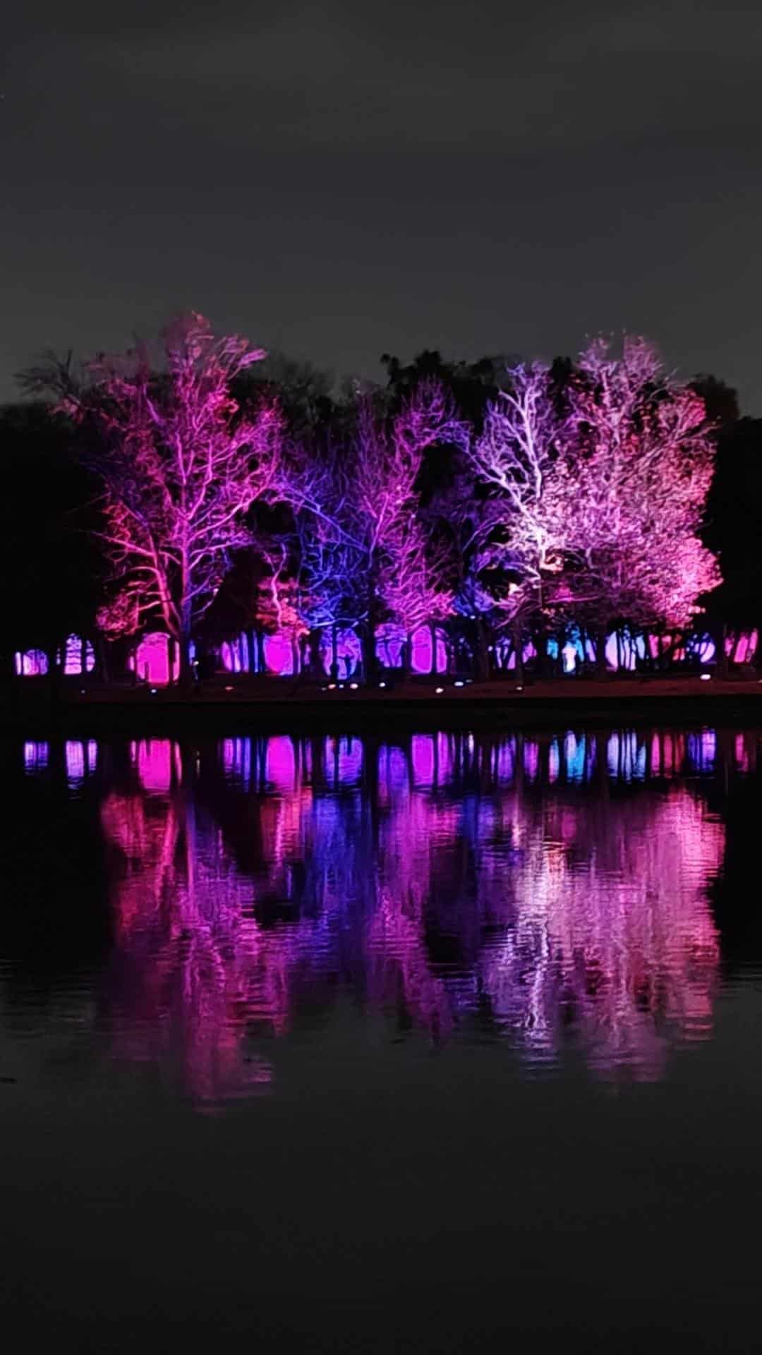 Colorful trees reflecting on water