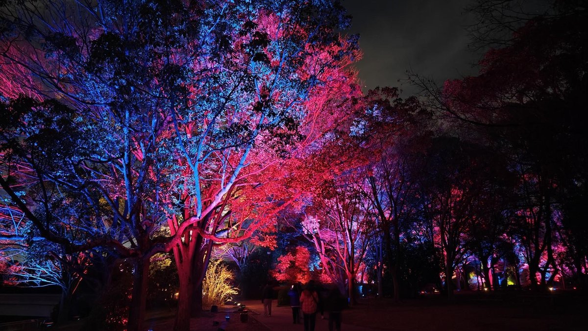 Colorful trees with vibrant night lights