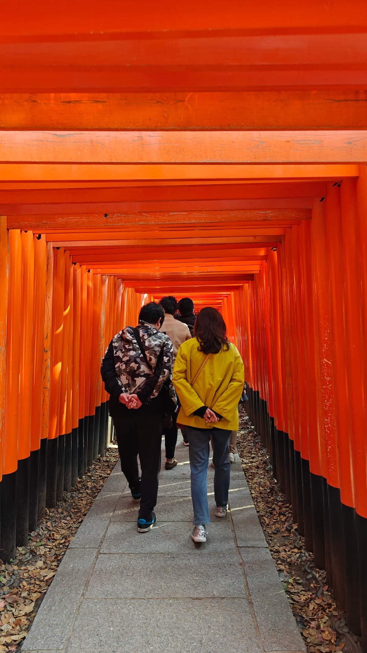Couple walking torii tunnel