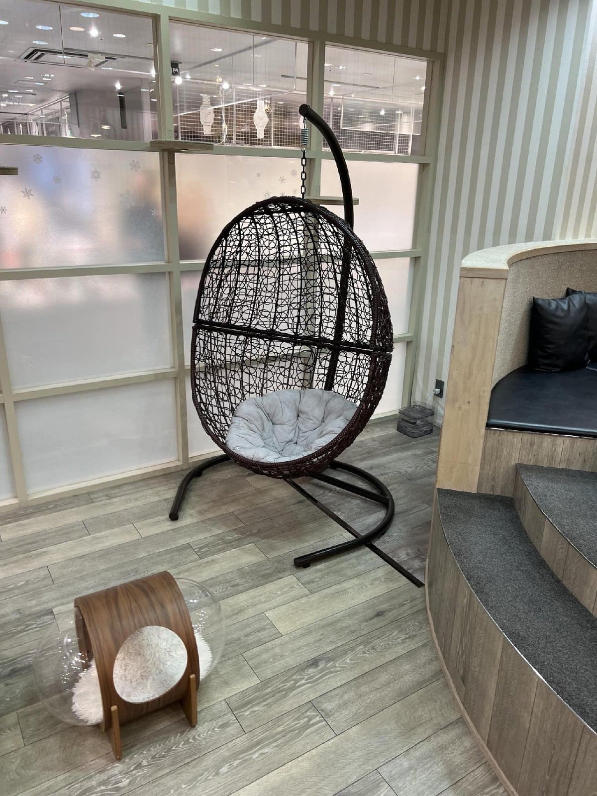 Cozy indoor wicker egg chair setup