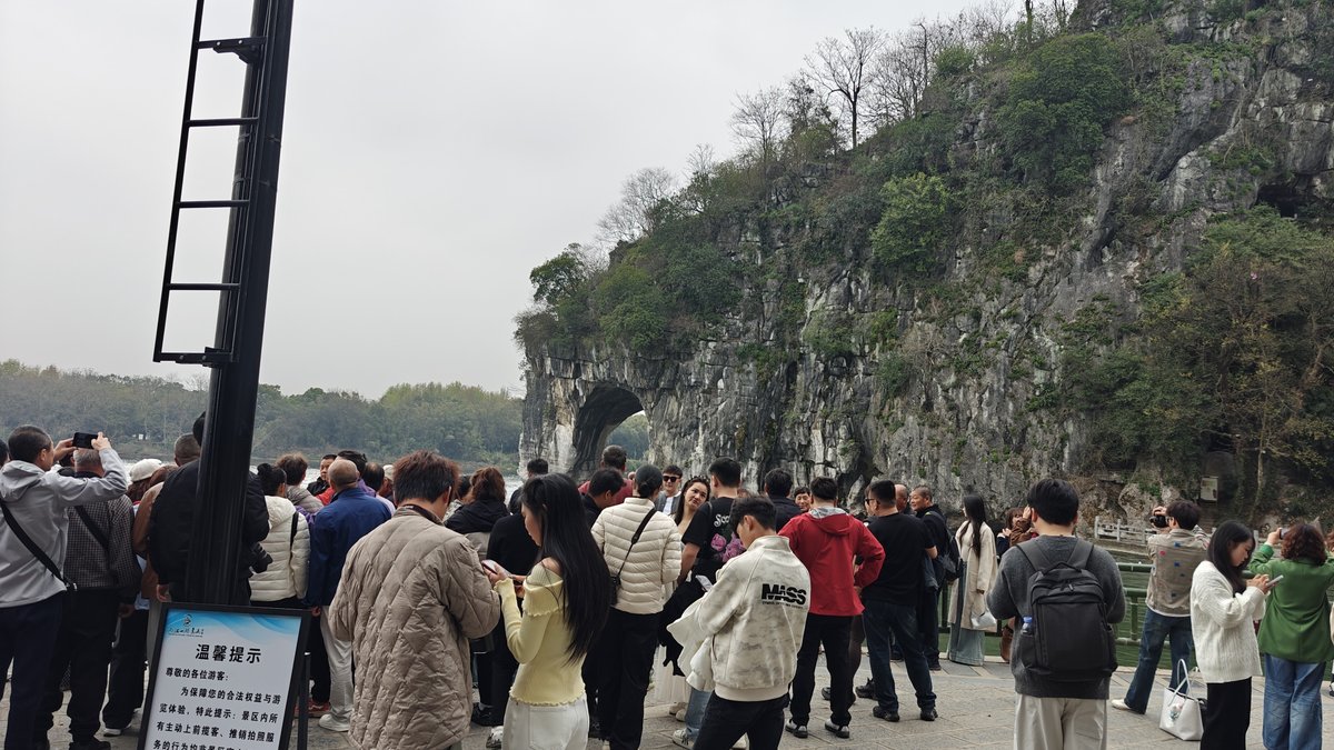 Crowded viewing platform with tourists photographing, elephant trunk