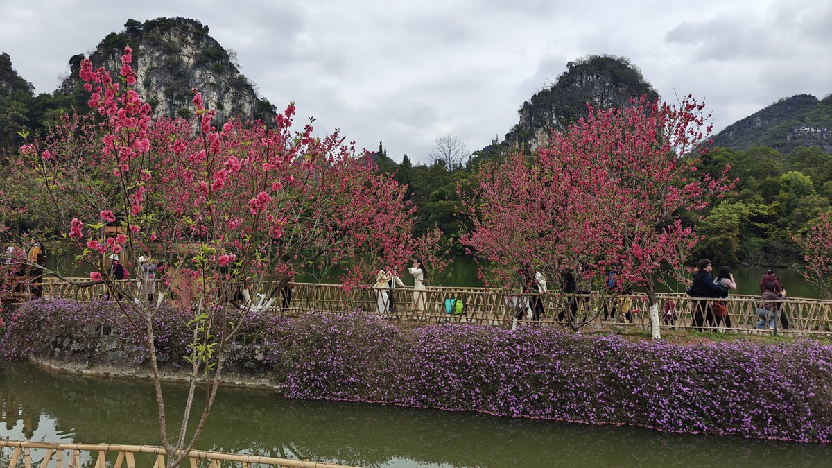Curved path through flowering gardens