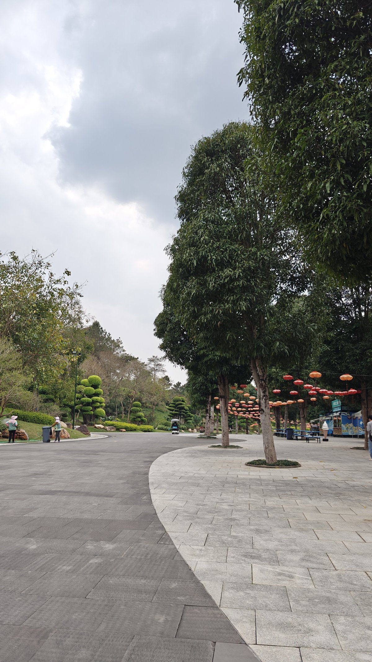 Curving walkway with topiary trees