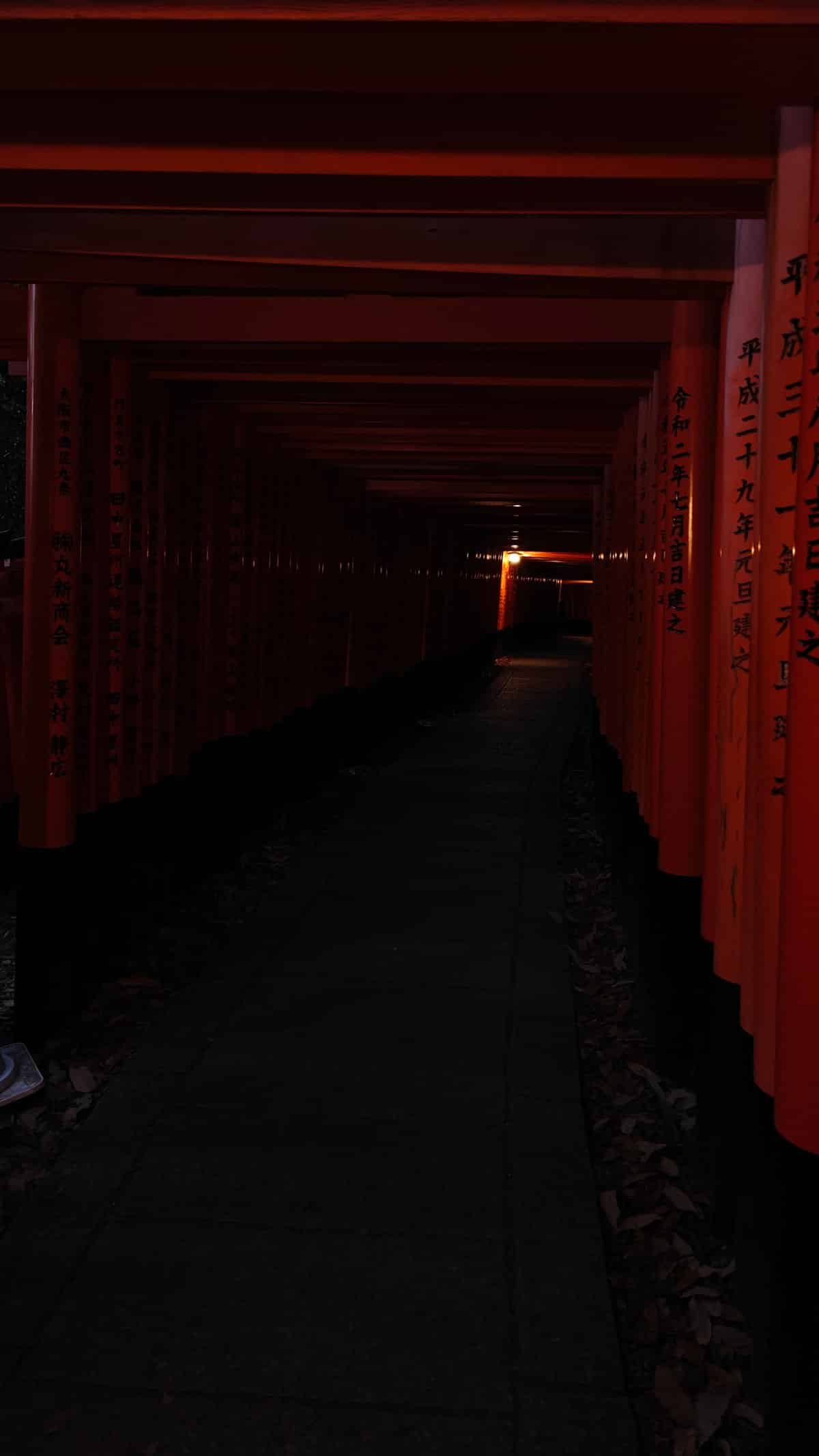 Dark torii tunnel glowing end