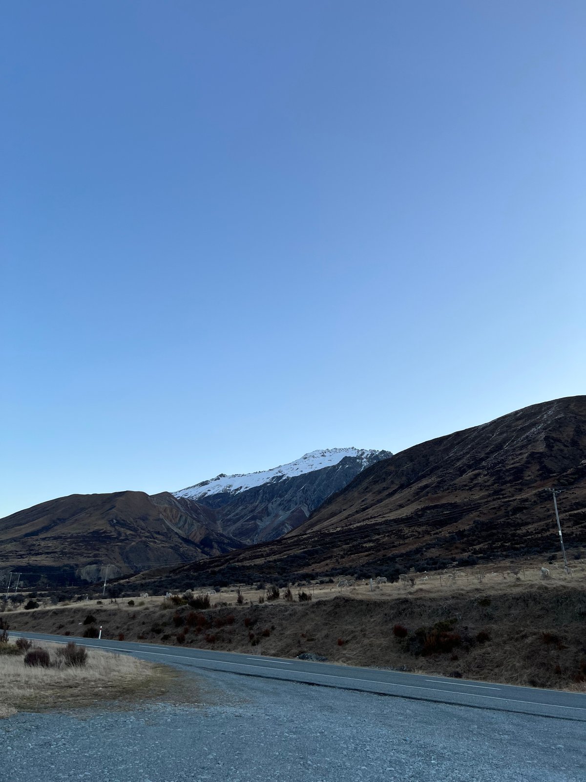 Dawn on the approach: a tussock hillside and