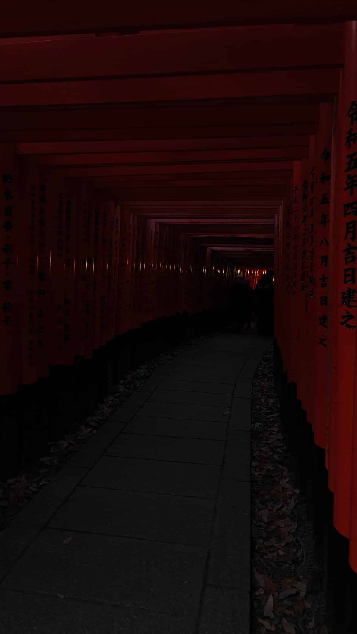 Dim vermilion torii tunnel dusk