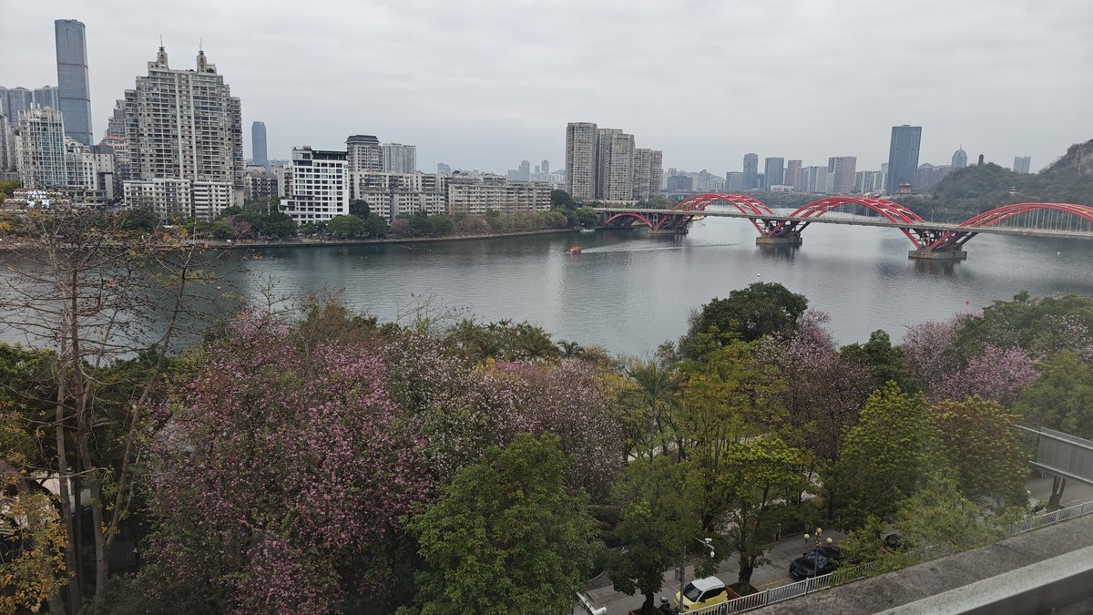 Distant river red bridge view