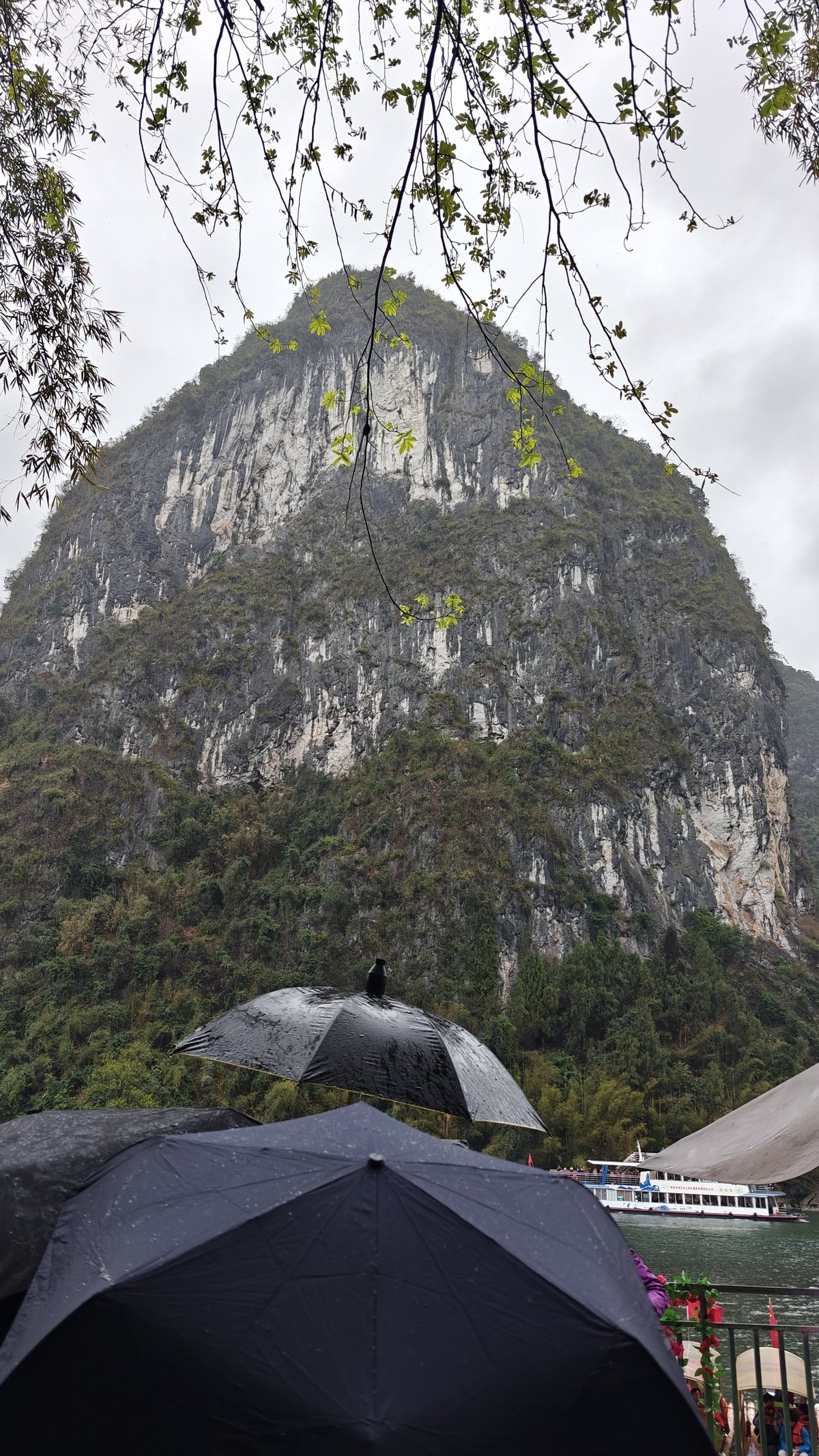 Dramatic karst cliff rising over river