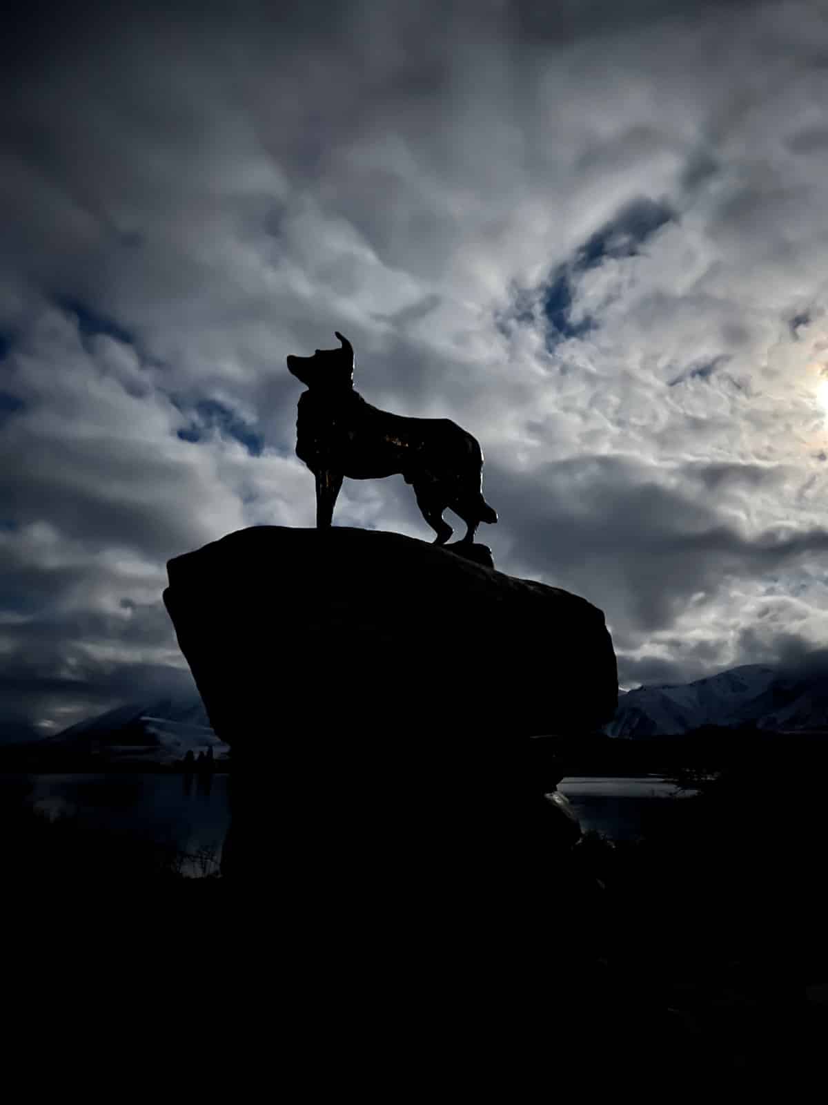 Dramatic silhouette of the sheepdog statue on its