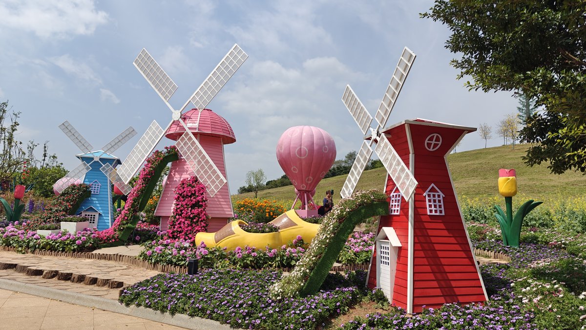 Dutch windmill flower garden - three colorful windmills