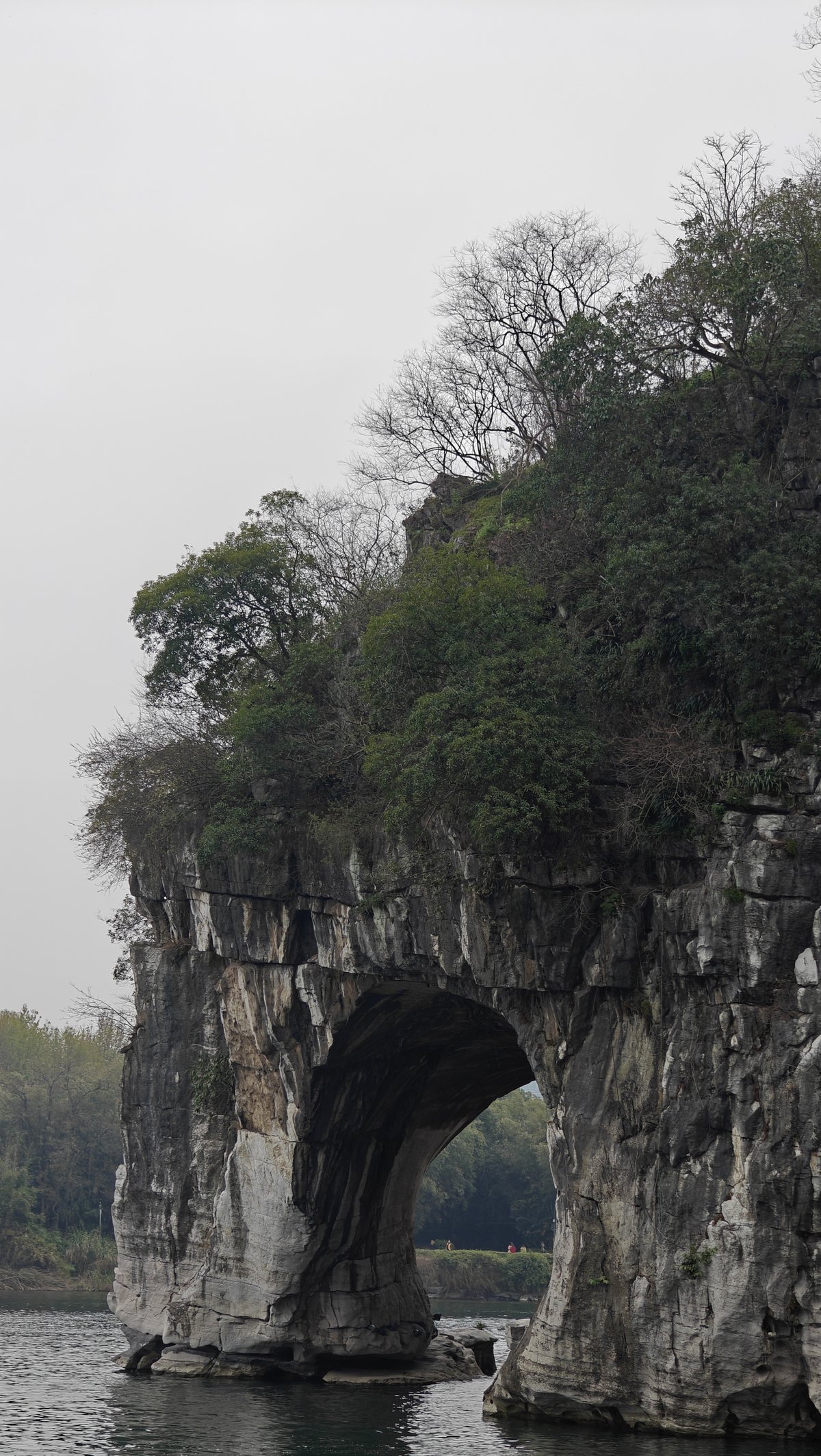 Elephant trunk arch from front-on angle, dark cave