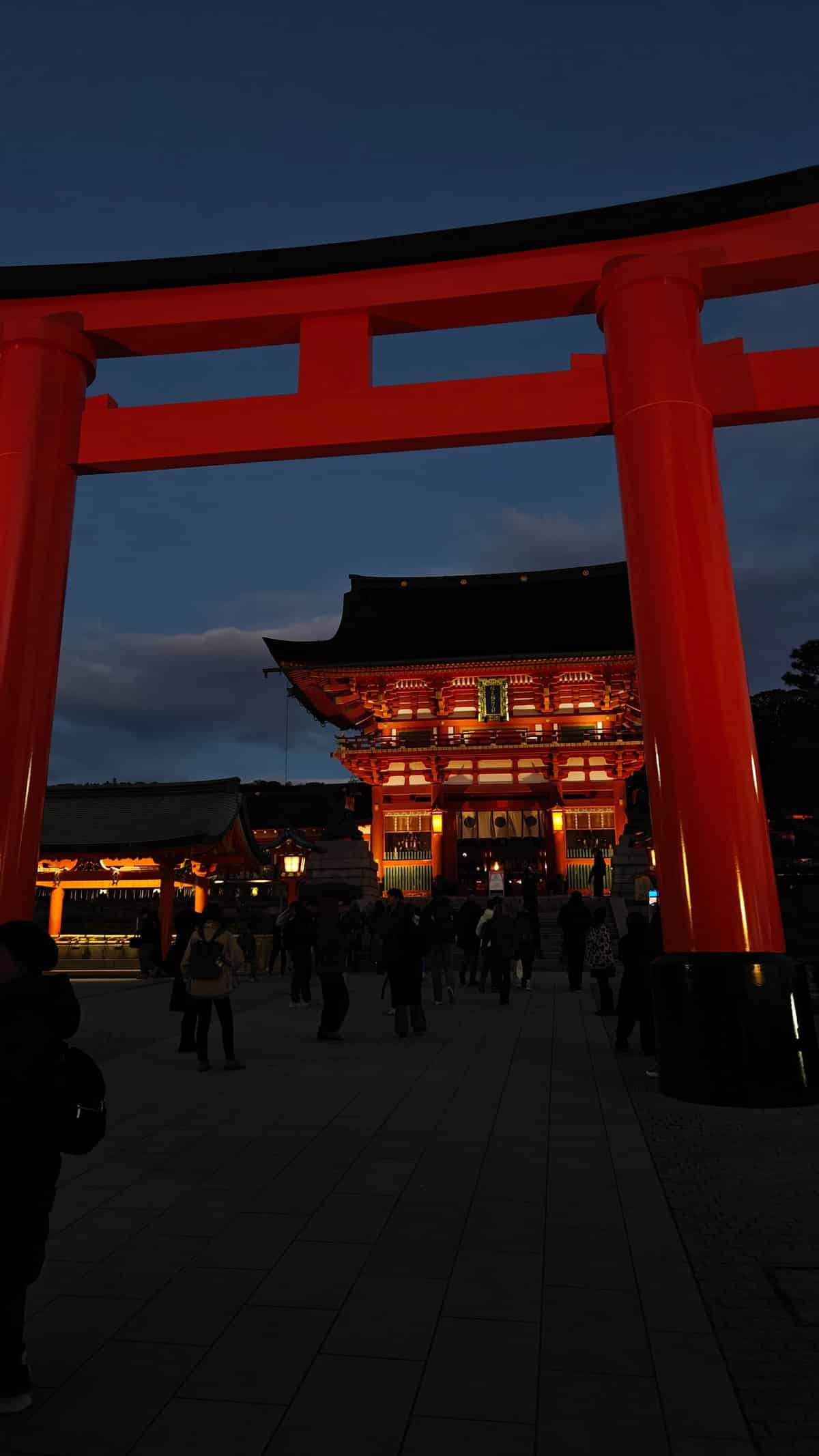 Entrance torii night illuminated gate