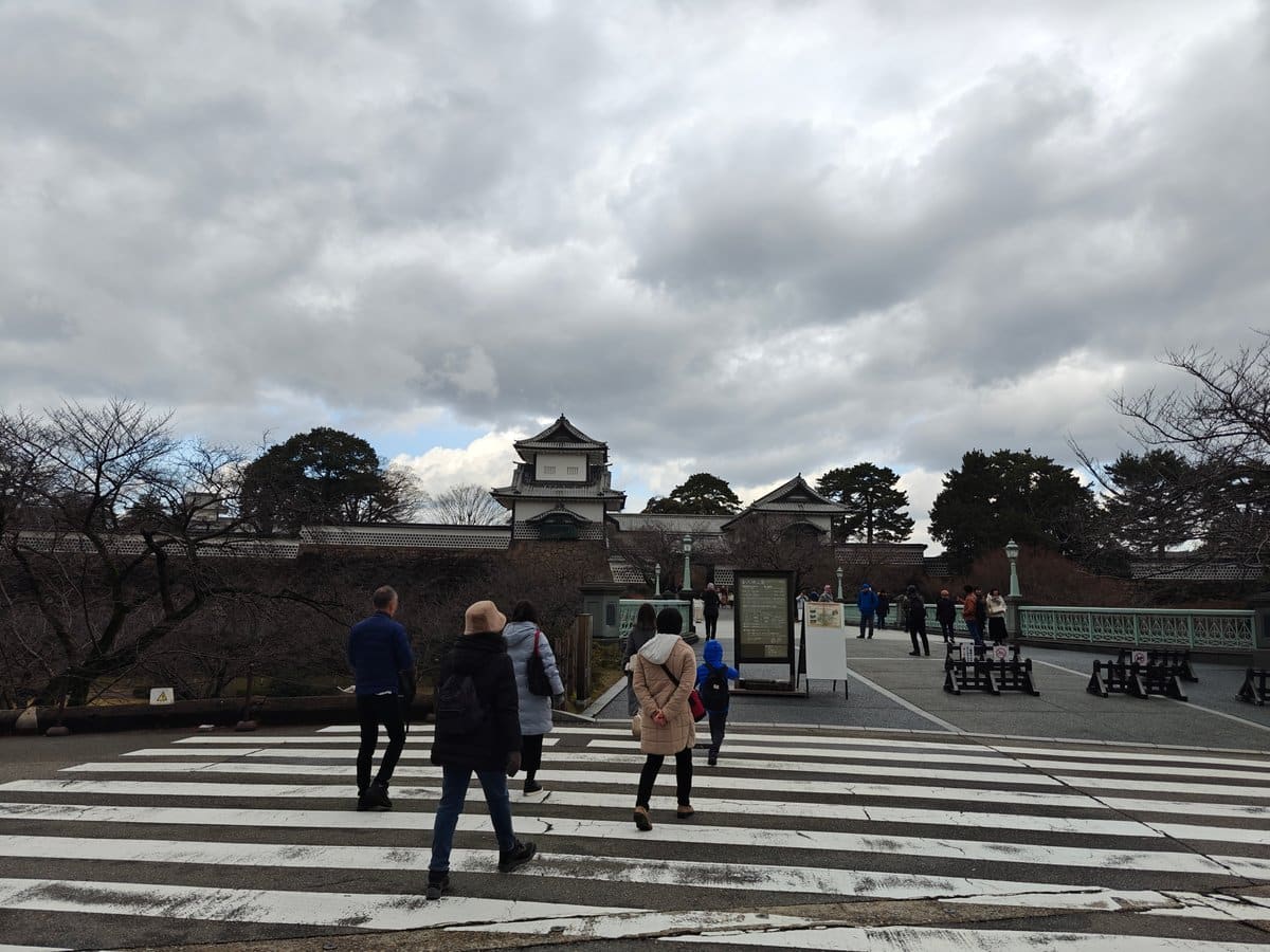 Establishing arrival shot: pedestrians on a zebra crossing