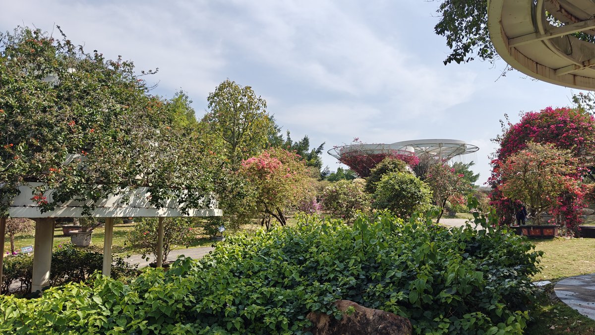 Flowering shrubs and red bougainvillea