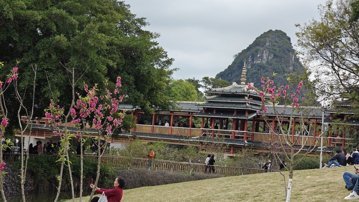 Flowering trees water karst mountains
