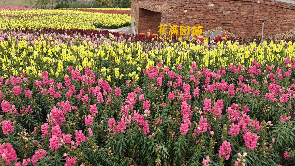 Flowers Fill the Garden sign