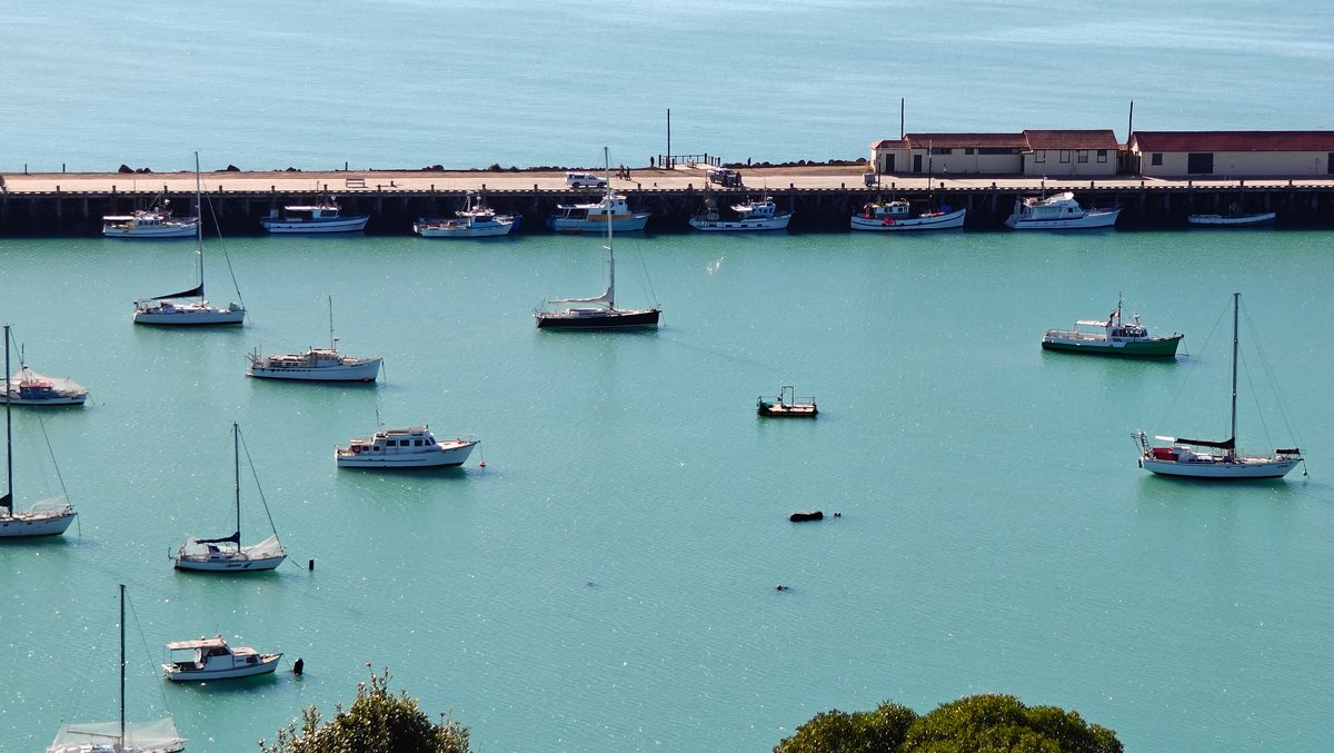 Friendly Bay harbour vista