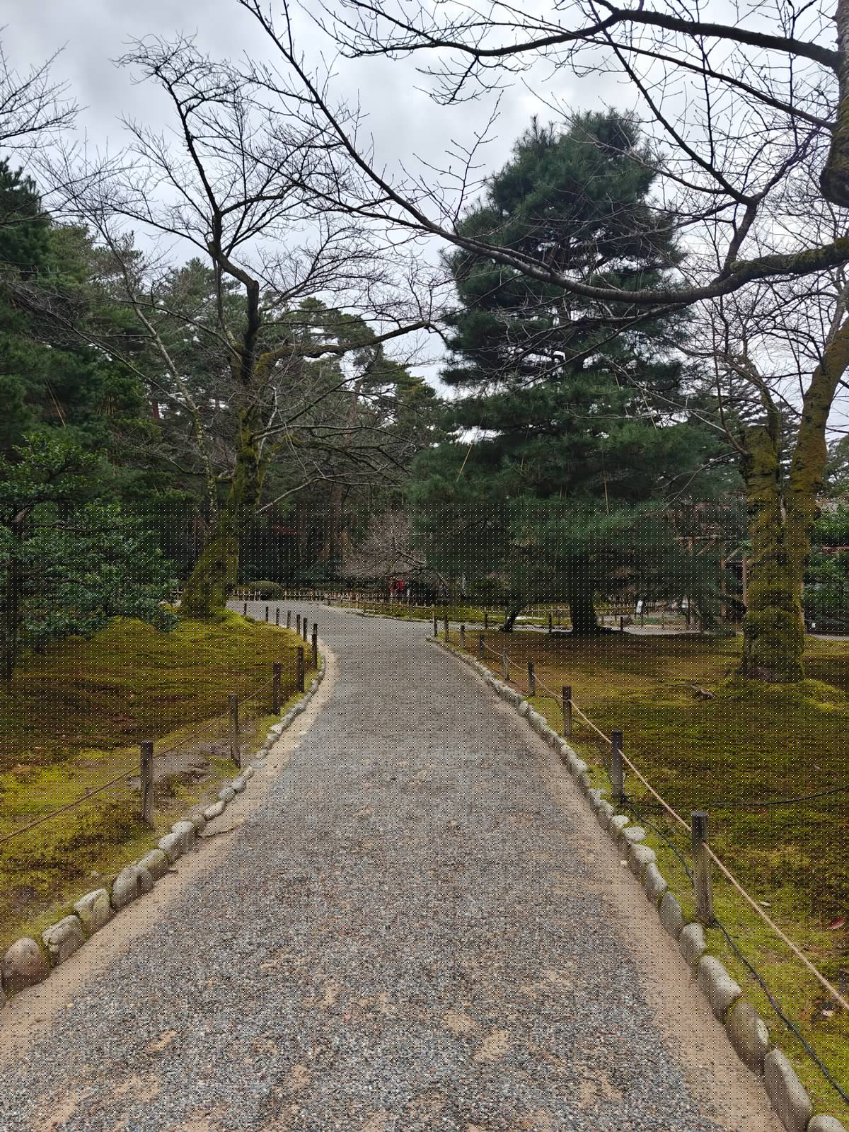 Garden path curving past a pine, with moss-covered