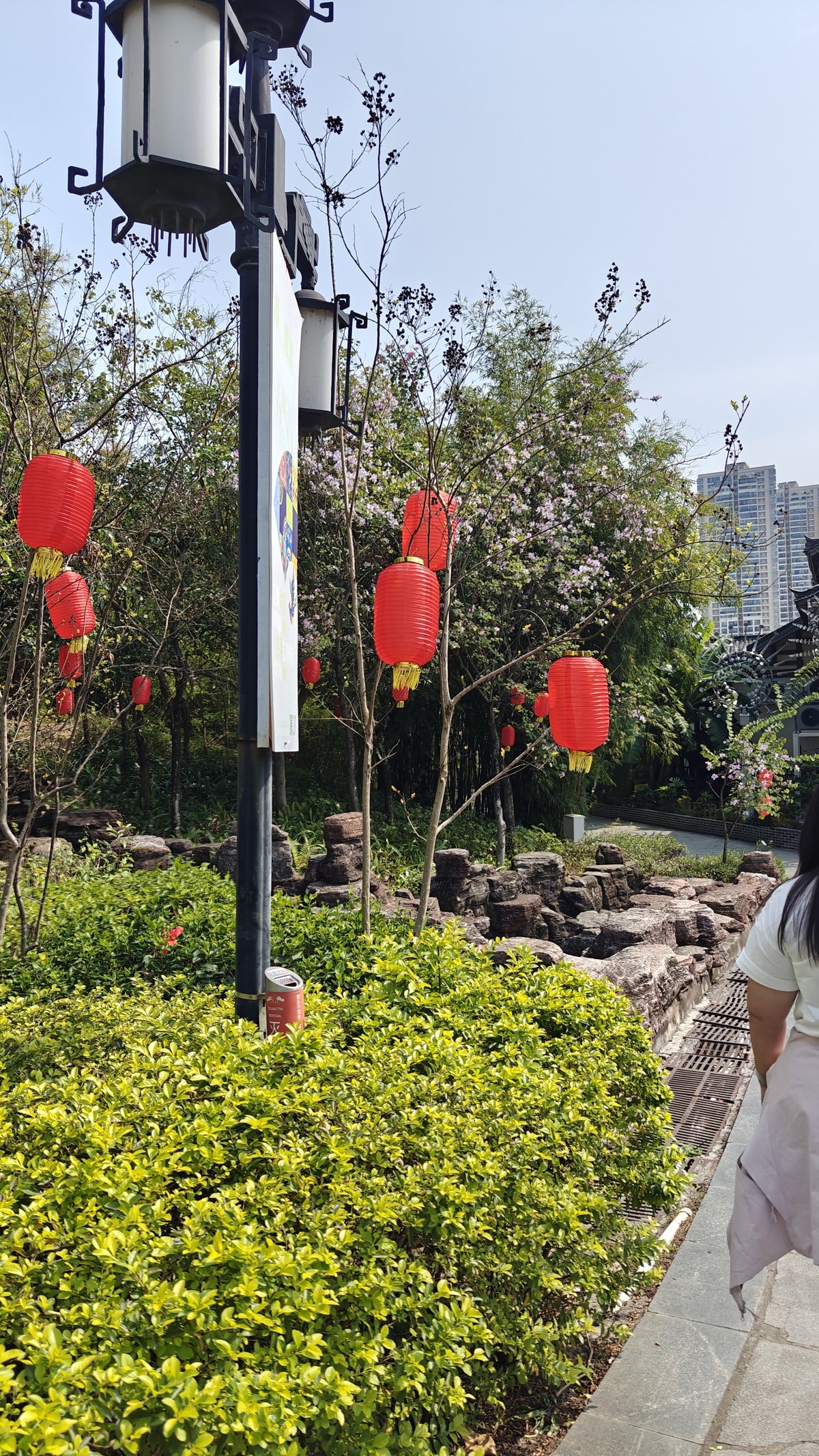 Garden path with red lanterns