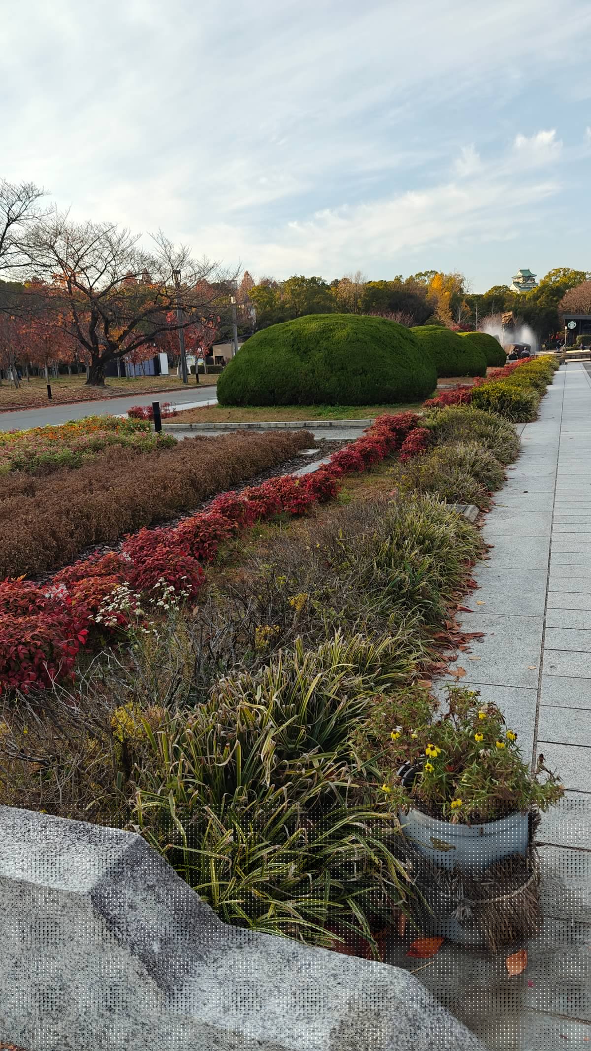 Garden pathway with red/green hedges, topiary, autumn colors,