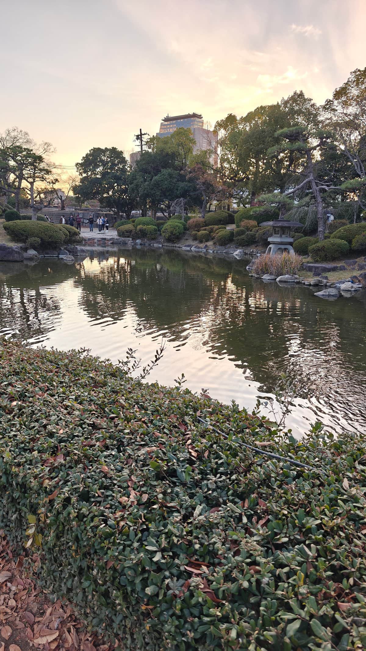 Garden pond with castle view