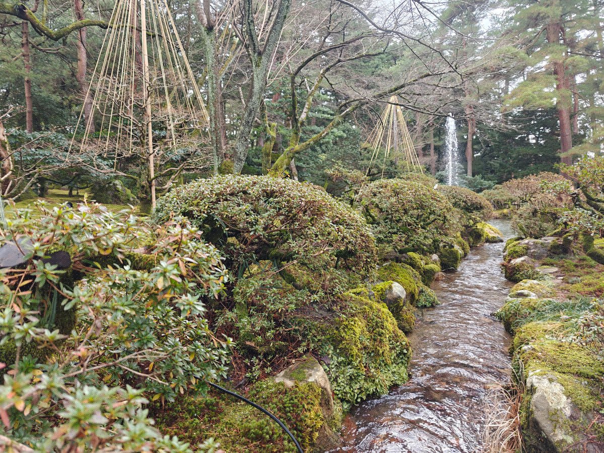 Garden stream flanked by mossy rocks and clipped