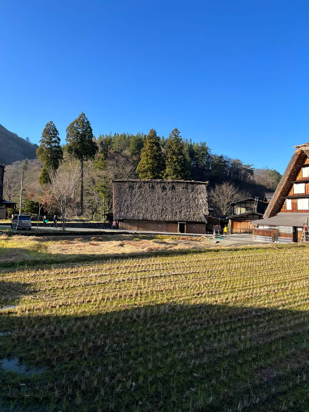 Gassho house and green fields