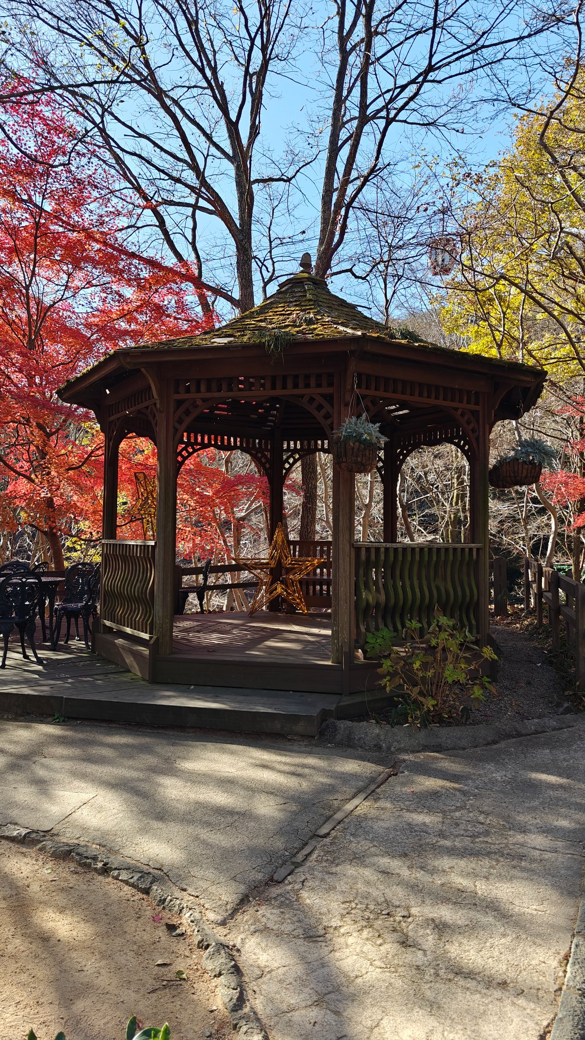 Gazebo framed by autumn leaves