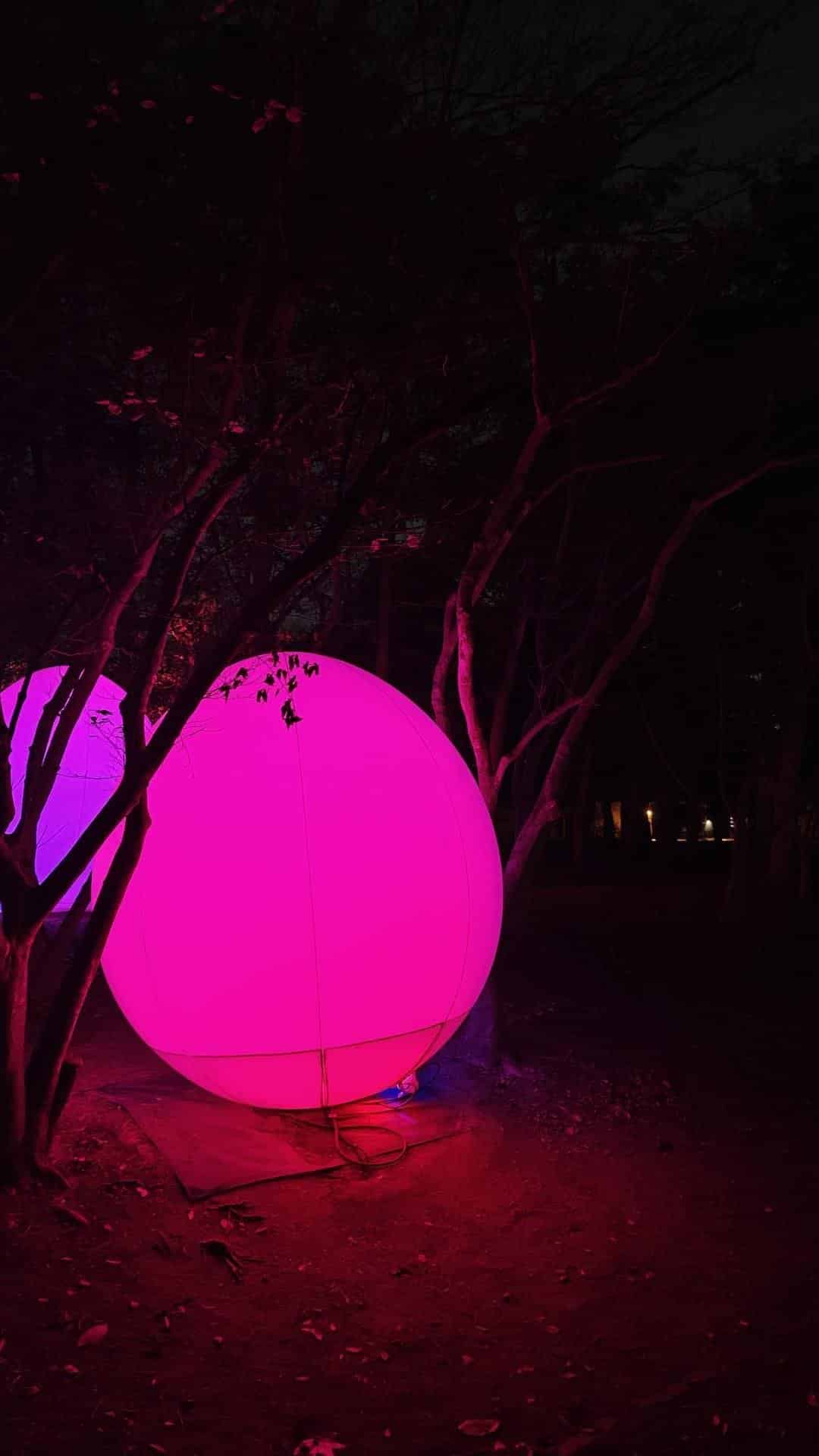 Glowing pink orb among trees at night