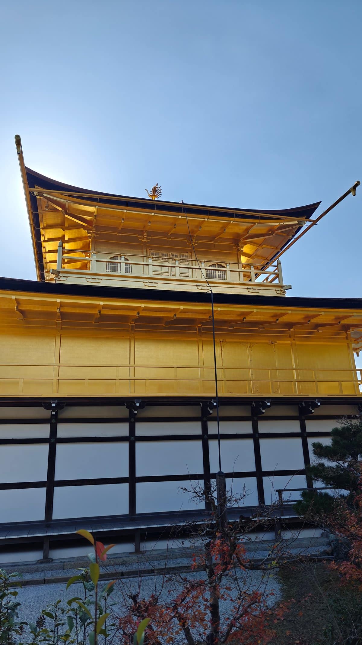 Golden phoenix roof ornament