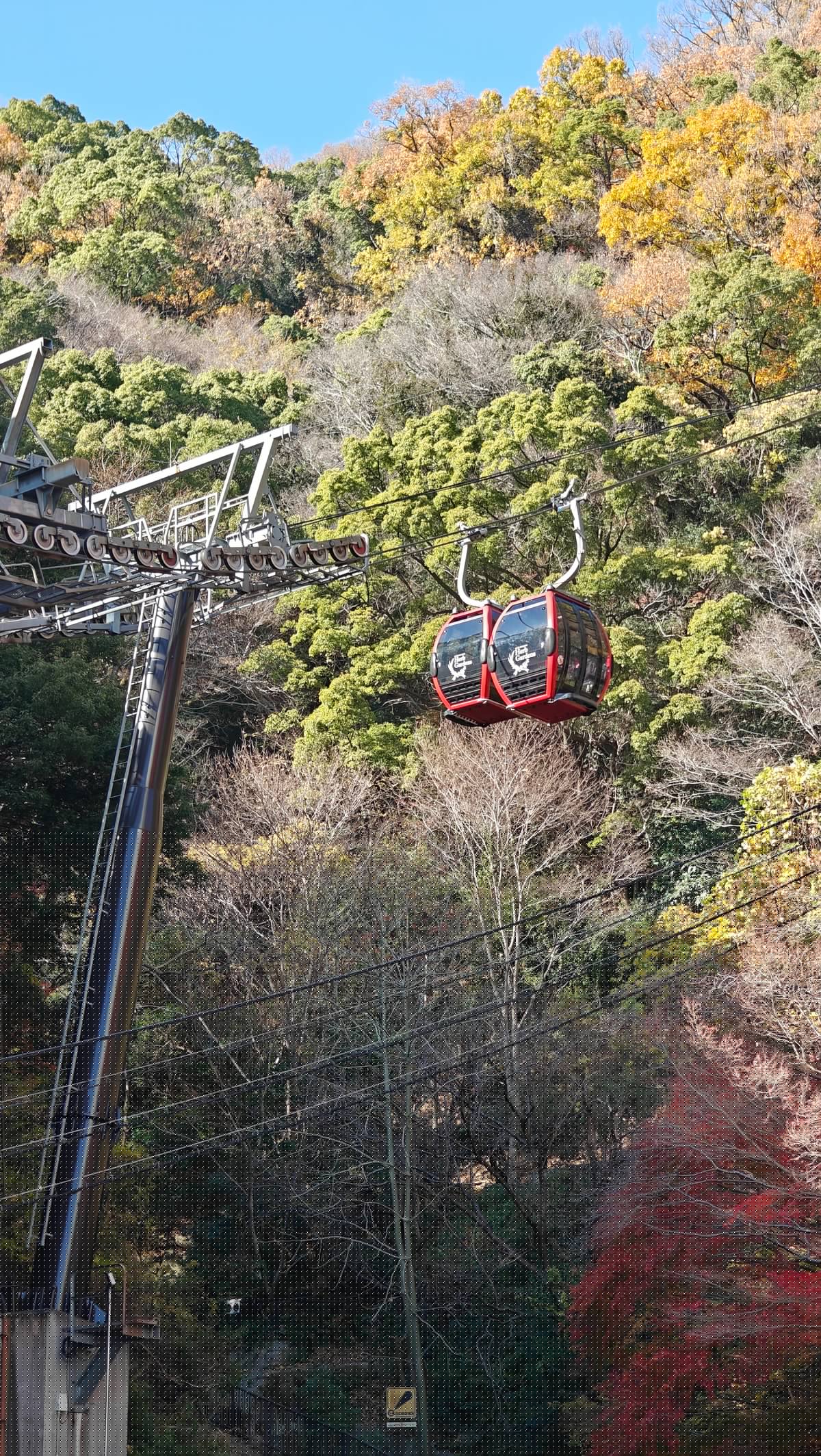 Gondolas climbing wooded hillside